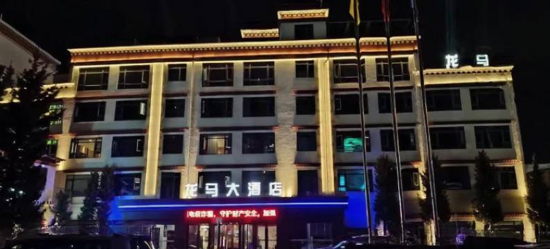 龙马大酒店(山南市政府店)图片