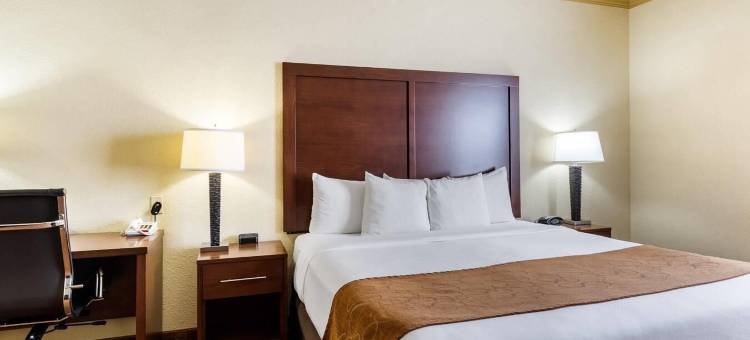 克利尔莱克舒适套房酒店-近NASA(Comfort Suites Near NASA - Clear Lake)图片