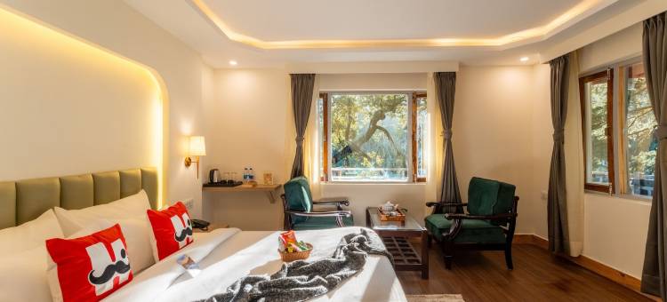 小胡子奈尼塔尔旅舍(Moustache Hostel Nainital)图片