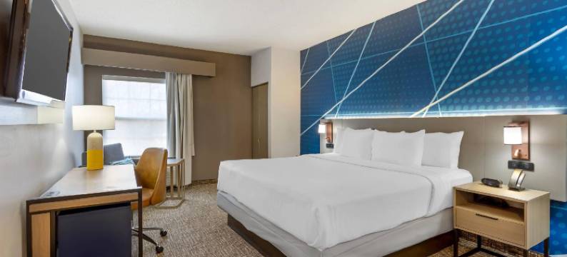 东布朗士维克南河舒适套房酒店(Comfort Suites East Brunswick - South River)图片