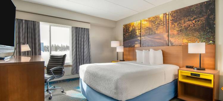 国际瀑布城戴斯酒店(Days Inn by Wyndham International Falls)图片