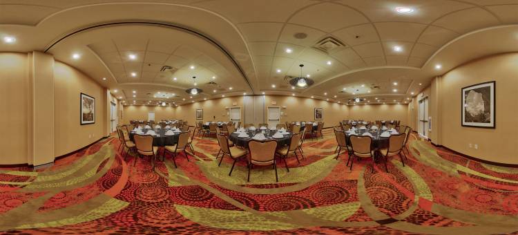 Holiday Inn 罗斯威尔(Holiday Inn ROSWELL by IHG)图片