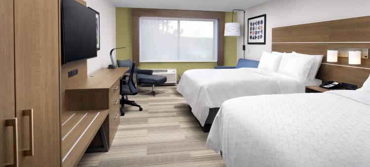 洲际酒店集团智选假日酒店及套房金斯兰I-95-海军基地区(Holiday Inn Express & Suites KINGSLAND I-95-NAVAL BASE AREA by IHG)图片