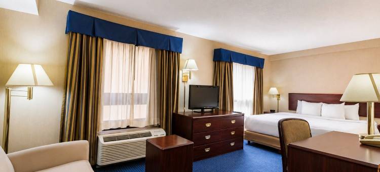 温德姆花园北蒙特雷酒店(Wyndham Garden Monterrey Norte)图片