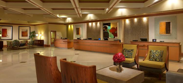 奥兰多太阳公园希尔顿分时度假俱乐部酒店(Hilton Grand Vacations Club Parc Soleil Orlando)图片