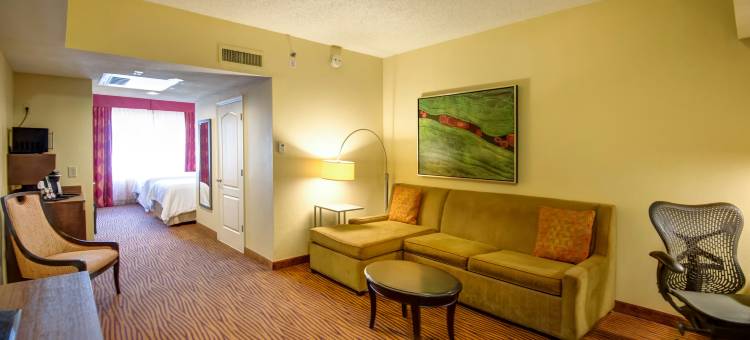 坦帕易勃尔历史区希尔顿花园酒店(Hilton Garden Inn Tampa Ybor Historic District)图片