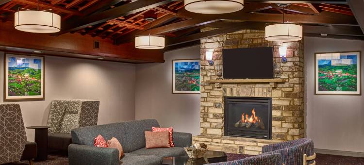 鸽子谷欢朋酒店(Hampton Inn Pigeon Forge)图片
