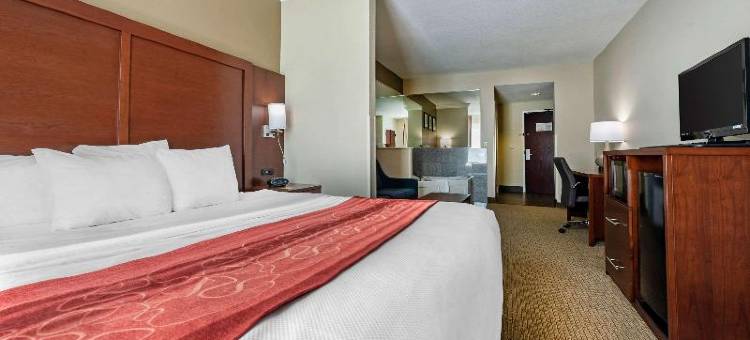 辛辛那提机场舒适套房酒店(Comfort Suites Cincinnati Airport)图片