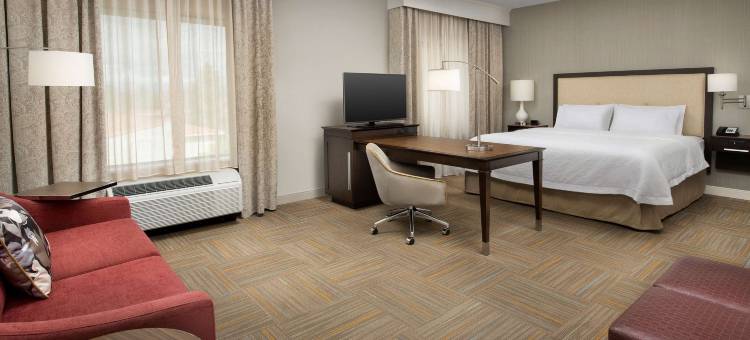 欢朋酒店及套房凤凰城坦佩(Hampton Inn & Suites by Hilton Phoenix Tempe)图片