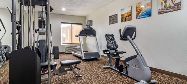 牛津南舒适套房酒店(Comfort Inn & Suites Oxford South)图片