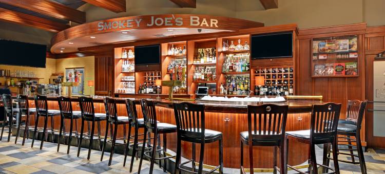 芝加哥市中心壮丽大道希尔顿花园酒店(Hilton Garden Inn Chicago Downtown/Magnificent Mile)图片