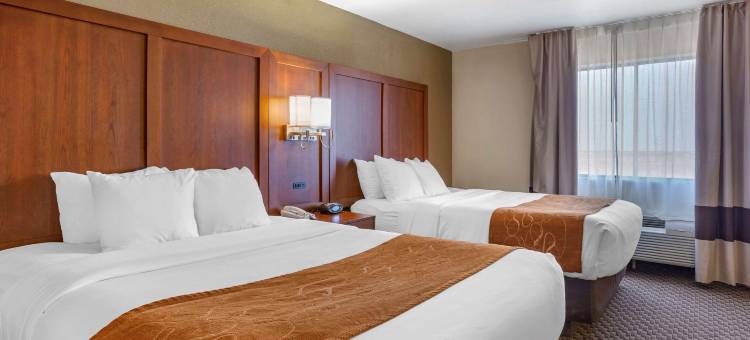 霍布斯舒适全套房酒店(Comfort Suites)图片