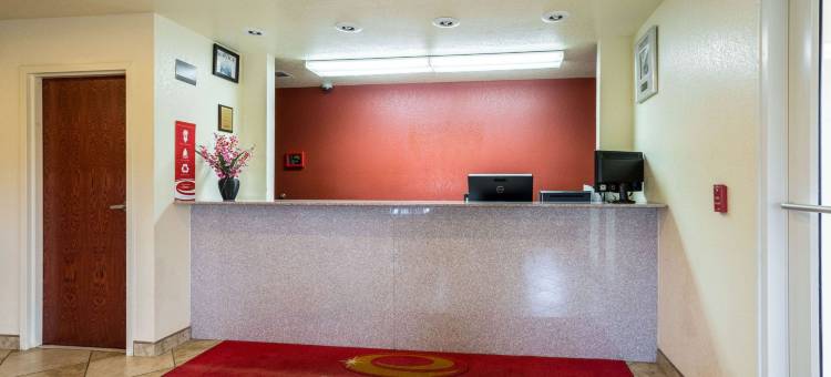 瑟西伊克诺套房旅馆(Econo Lodge Inn & Suites Searcy)图片