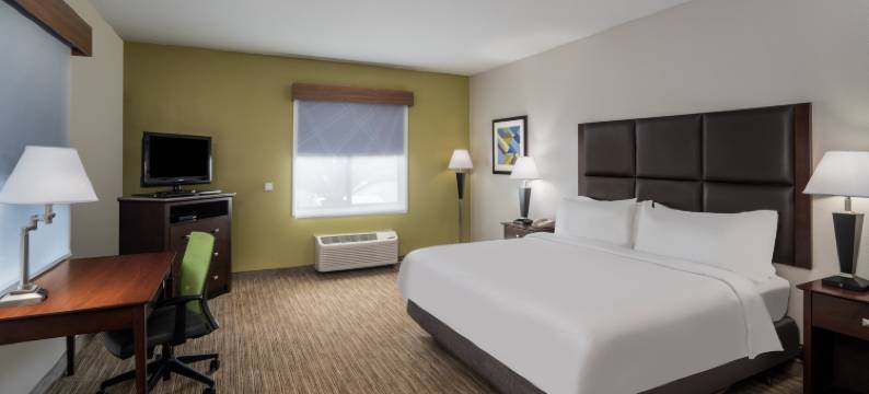 智选假日套房酒店海恩斯维尔(Holiday Inn Express & Suites HINESVILLE EAST - FORT STEWART by IHG)图片