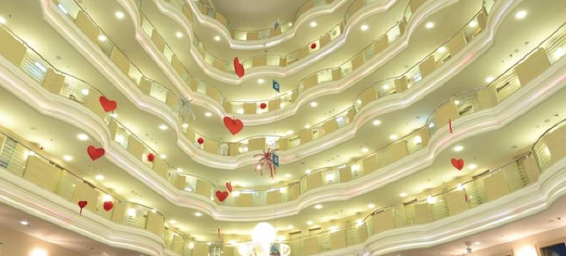 埃泽尔高级及水疗中心酒店(Eser Premium Hotel & Spa)图片