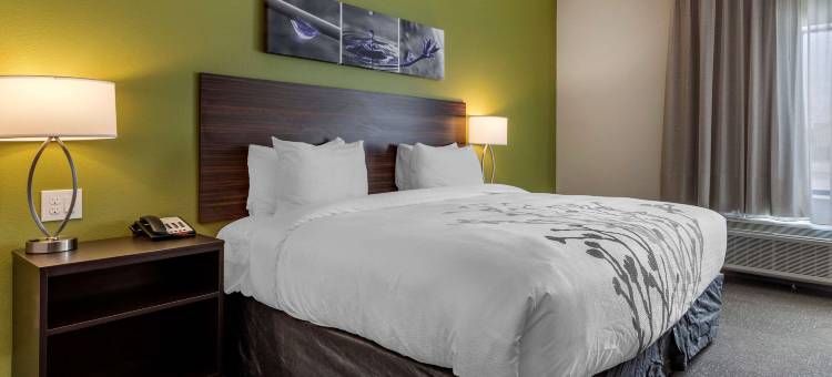 克罗斯比雷德伍德酒店及套房(Redwood Inn & Suites Crosby)图片
