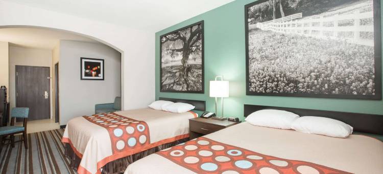 阿瑟港-尼德兰地区速8酒店(Super 8 by Wyndham Port Arthur/Nederland Area)图片