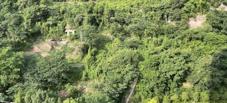 平湖山水民宿(翠屏大道分店)图片