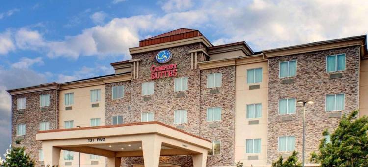 沃克西哈奇-达拉斯舒适套房酒店(Comfort Suites Waxahachie - Dallas)图片