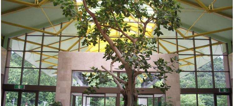 Hotel Kunitomi Annex - Vacation Stay 12075V图片