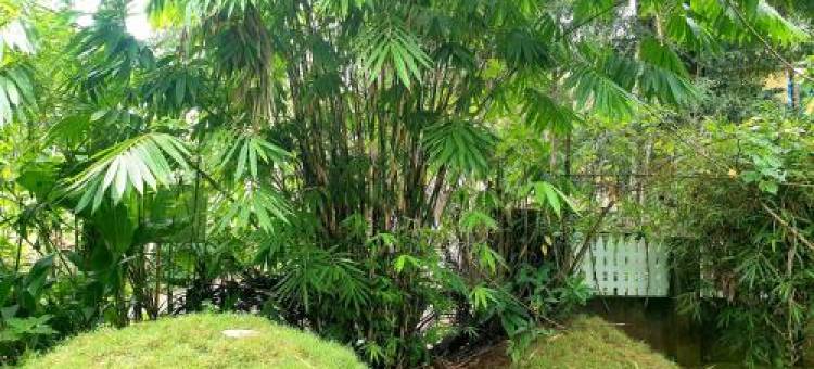 Amritham Holidays Homestay Trivandrum图片