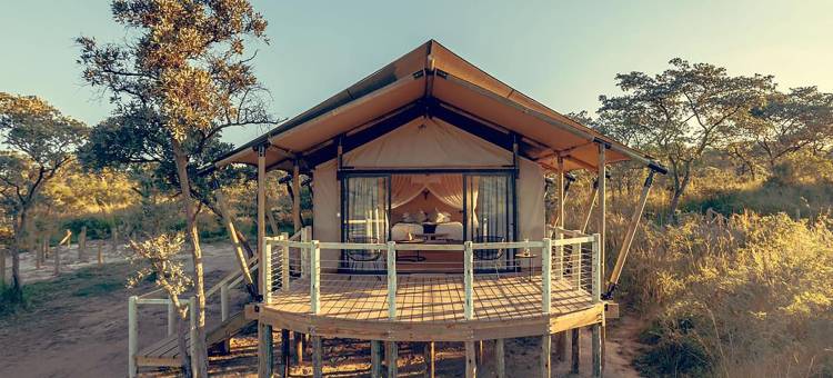 姆杜利游猎旅馆(Mdluli Safari Lodge)图片