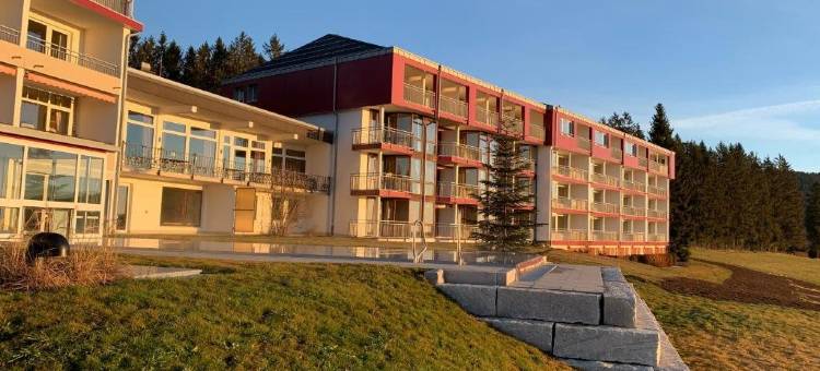 蒂蒂湖Saigerhöh健康水疗酒店(Hotel Saigerhöh Wellness Spa Golf Wandern über Dem Titisee)图片