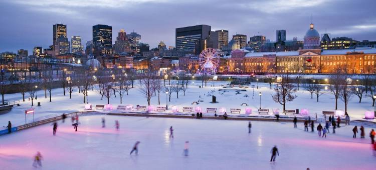蒙特利尔 W 酒店(W Montreal)图片