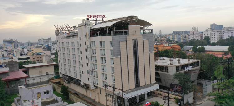 赛雅吉Effotel印多尔(Effotel by Sayaji Indore)图片