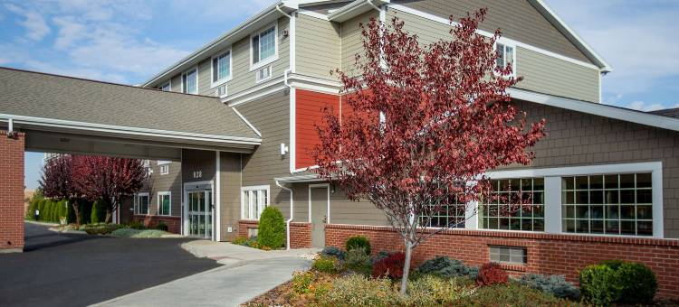 海岸山顶旅馆(Coast Hilltop Inn)图片