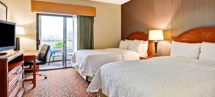 圣克莱门特欢朋套房酒店(Hampton Inn & Suites San Clemente)图片