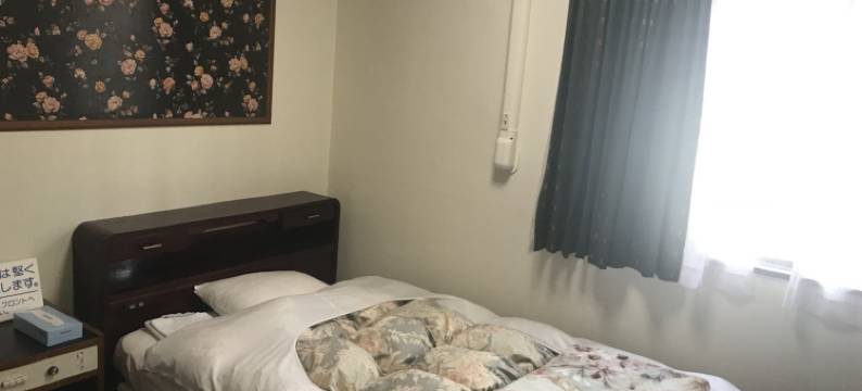 新柏酒店(Hotel New Kashiwa)图片