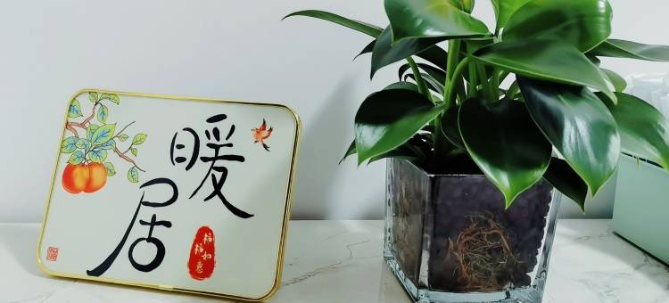 悦心暖居大雁塔民宿(航天北路分店)图片