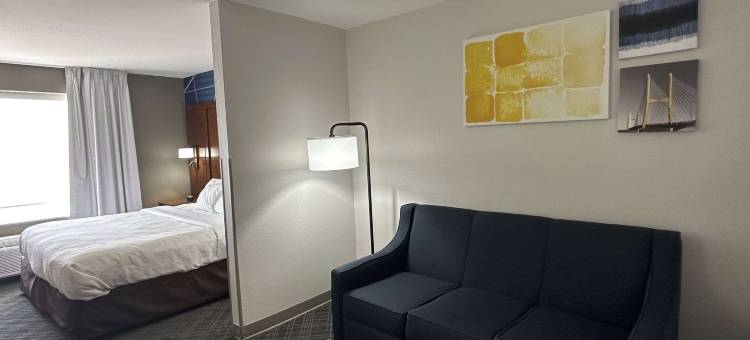 杰克逊开普吉拉多舒适套房酒店(Comfort Suites Jackson-Cape Girardeau)图片