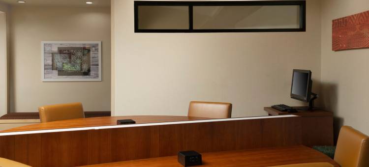 安阿伯TownePlace Suites酒店(TownePlace Suites Ann Arbor)图片