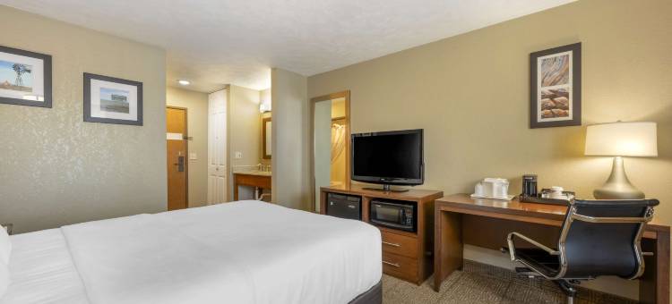 列克星敦舒适酒店(Comfort Inn)图片