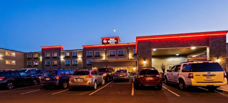 胡椒树机场贝斯特韦斯特优质酒店(Best Western Plus Peppertree Airport Inn)图片