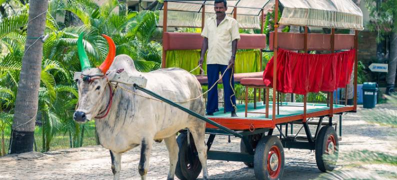 埃斯瑟尔度假村酒店(Esthell Village Resort)图片