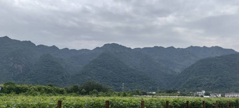 用心服务的房东森公寓(西太公路分店)图片