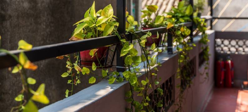 尚居民宿(翁厝巷分店)图片