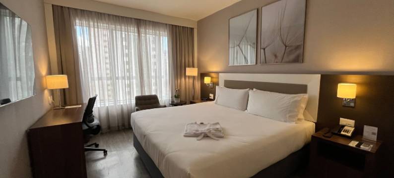 Holiday Inn 贝洛奥里藏特(Holiday Inn BELO HORIZONTE SAVASSI by IHG)图片