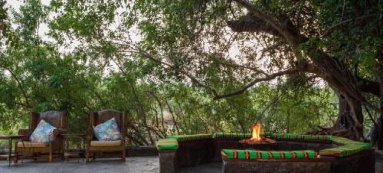 Tintswalo Siankaba图片