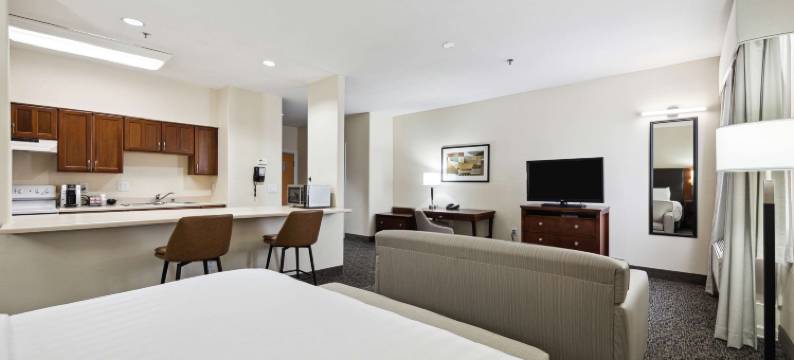 休斯顿市中心贝斯特韦斯特优质套房酒店(Best Western Plus Downtown Inn  Suites)图片