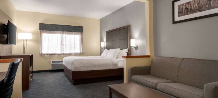 Wingate by Wyndham Appleton(Wingate by Wyndham Appleton)图片