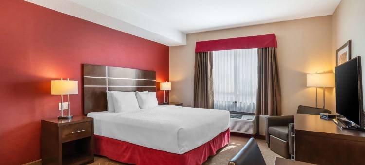 金德斯利贝斯特韦斯特优质酒店(Best Western Plus Kindersley Hotel)图片