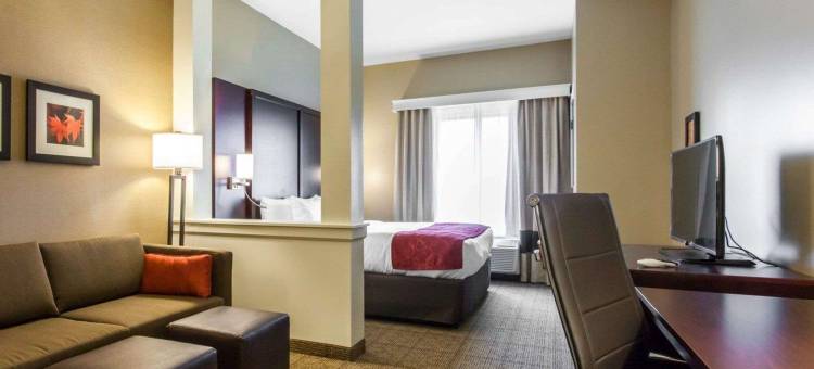 舒适套房酒店-扬斯敦北(Comfort Suites-Youngstown North)图片