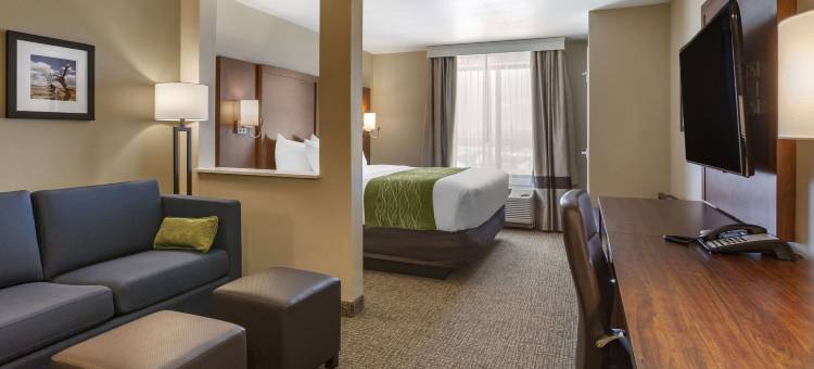 阿尔伯克基机场舒适套房酒店(Comfort Suites Albuquerque Airport)图片