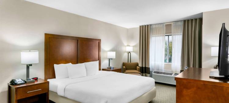 菲德里克红马舒适酒店(Comfort Inn Red Horse Frederick)图片