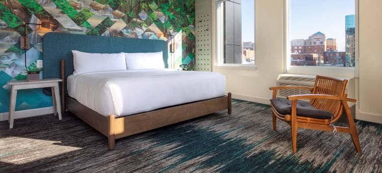 帆布蒙古顿酒店，希尔顿启缤精选(Canvas Moncton, Tapestry Collection by Hilton)图片