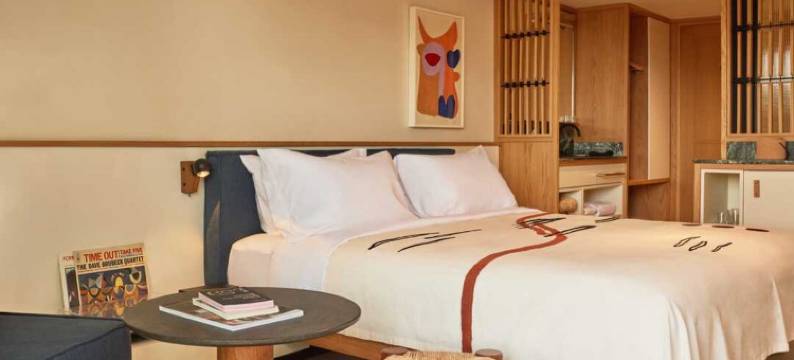 菲尼克斯酒店(Ace Hotel and Swim Club Athens)图片